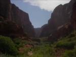 IM001091.JPG
The Narrows going through Kolob Canyon.
328.34 KB 
1600 x 1200 
7/5/2002
